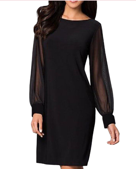 Cecilia | Alluring Sheer Mesh Dress